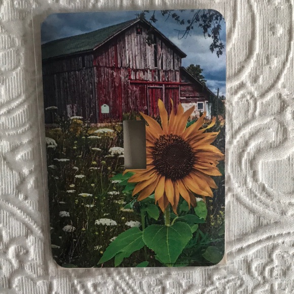 Decorative Switchplate - Picture 1 of 2